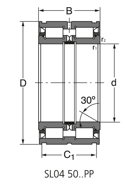 Подшипник SL04 5010 PP2NR Подшипник SL04 5010 PP2NR